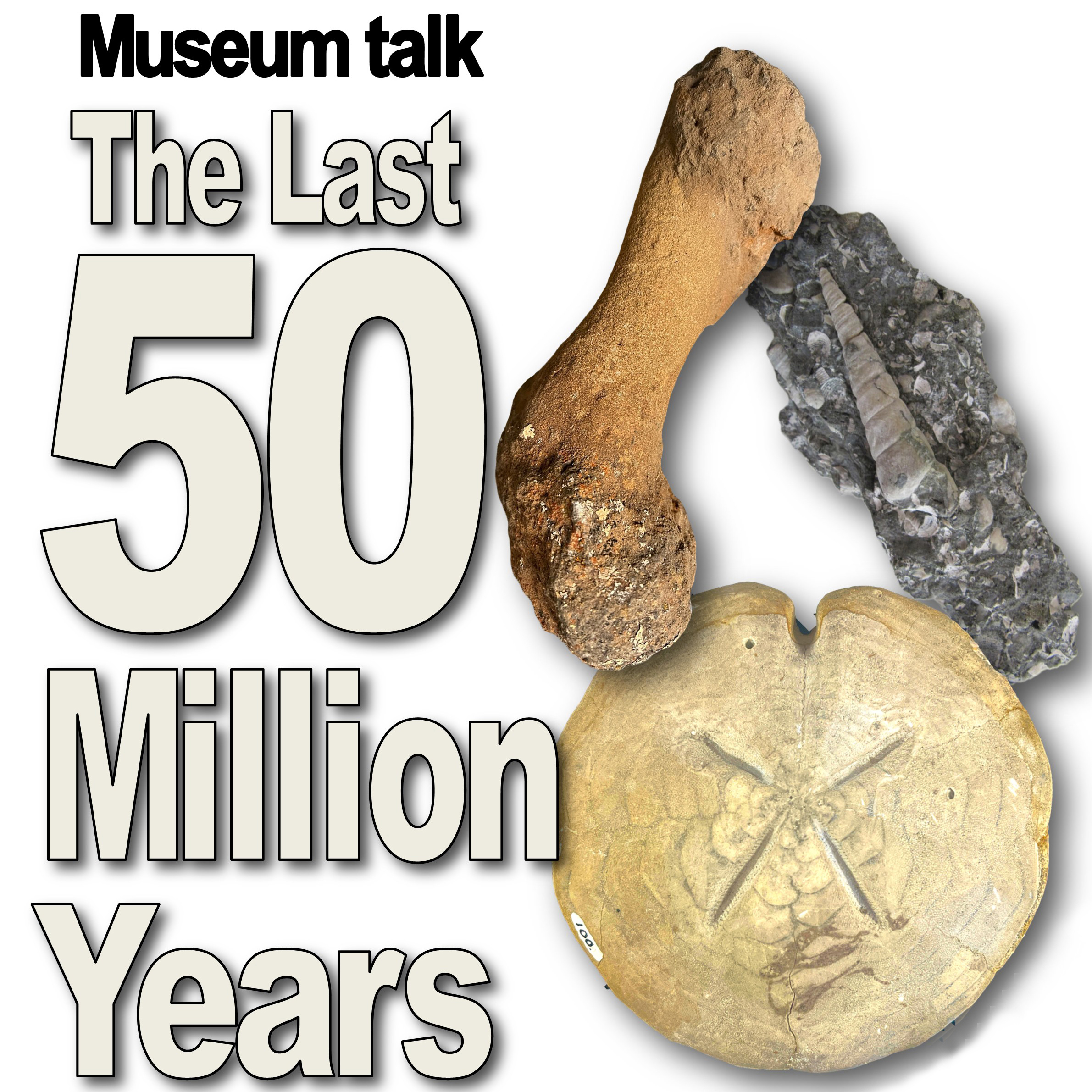 News item thumbnail image. 