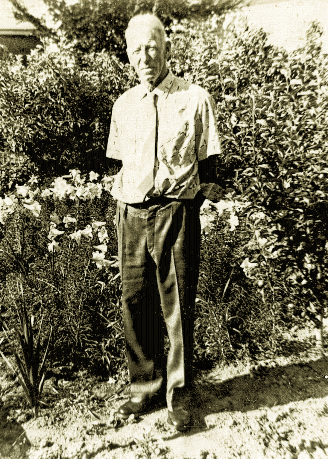 George T Keen in his garden with Christmas lilies