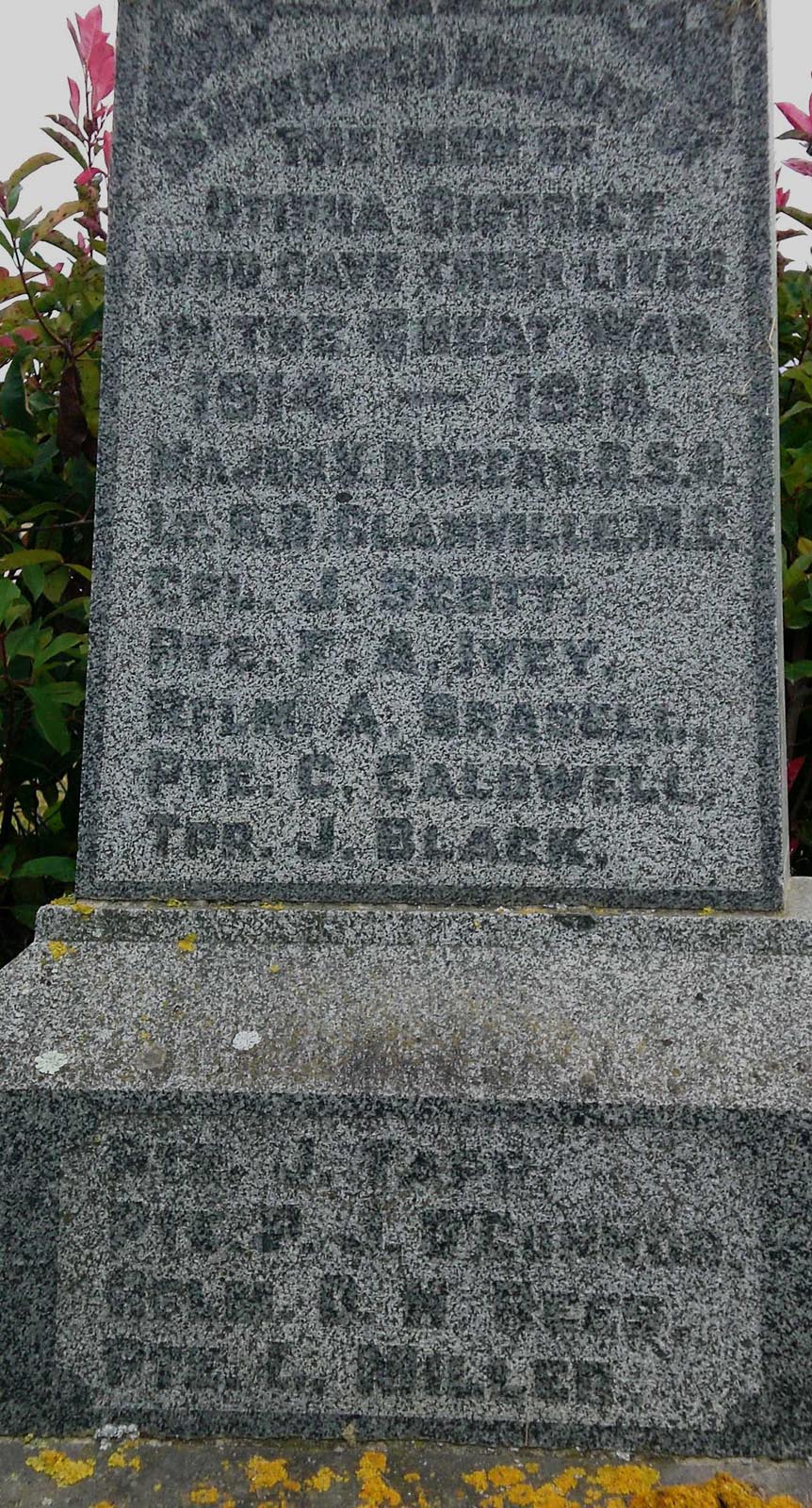 Otipua War Memorial - World War One names, pictured in 2010