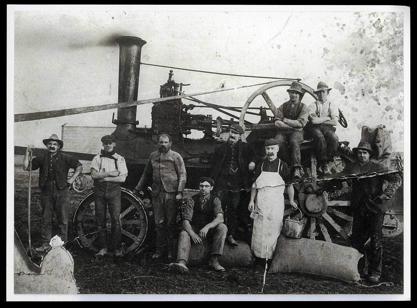 Traction engine used for Arthur Johnson’s chaff cutting business. 