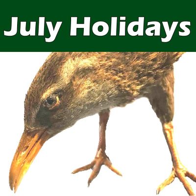 July Holiday Programme