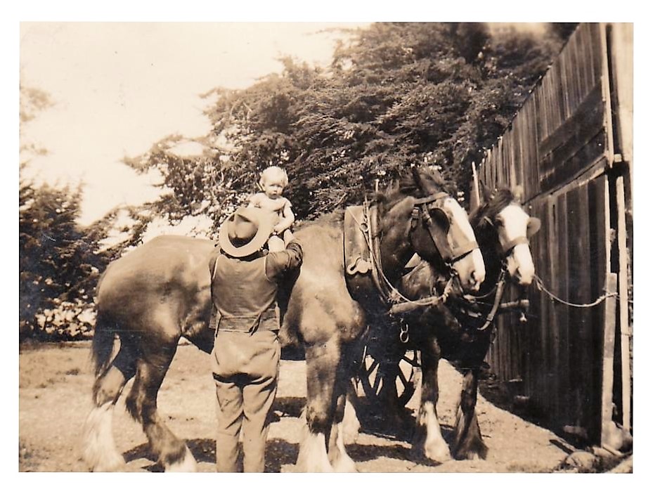 Henry Aitken with some of his horse at Kingsdown